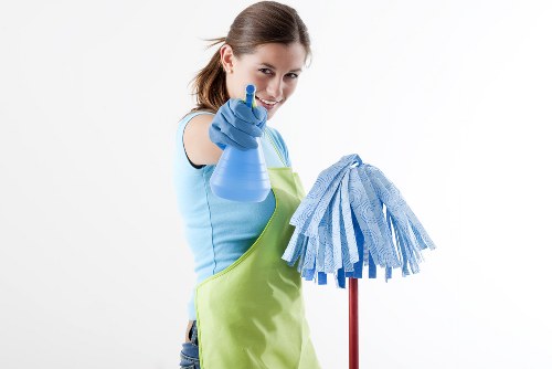 Professional sofa cleaning in a modern Canary Wharf apartment