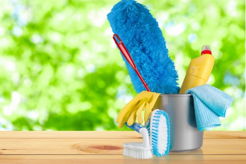 House cleaning supplies arranged for a fresh home