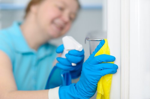 Regular cleaning in a bright modern living room