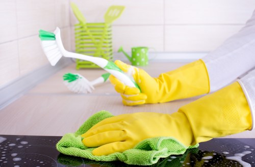 Professional cleaning of a building entrance shared area