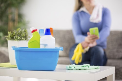 Deep cleaning supplies ready for end of tenancy cleaning