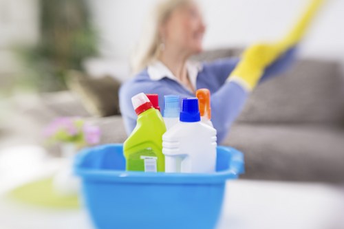 Organized cleaning tools for a new home move in cleaning