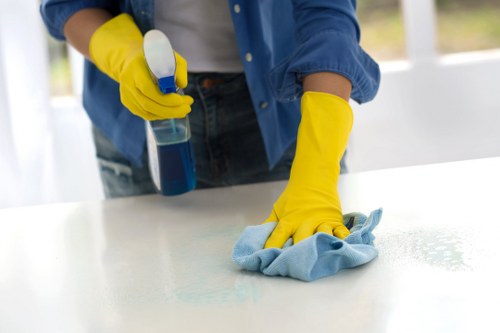 Technician performing deep upholstery cleaning on a couch