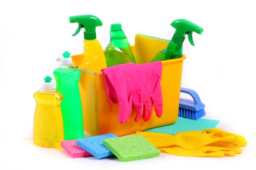 Kitchen domestic cleaning with organized surfaces